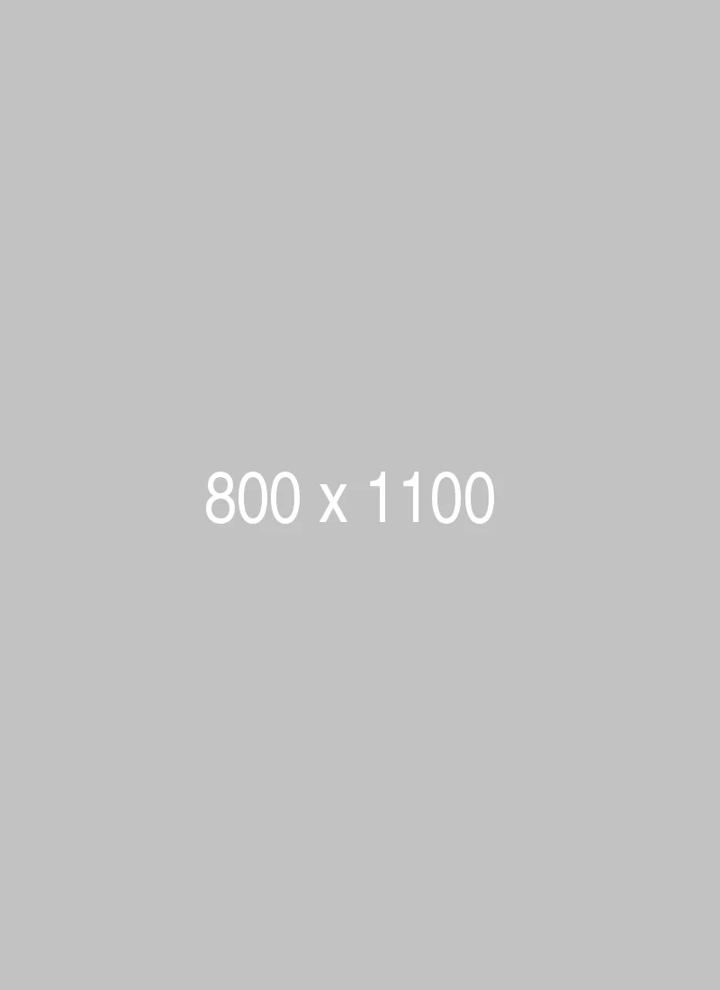 litho-800x1100-clone-ph